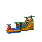 DOLPHIN 30x12 ft